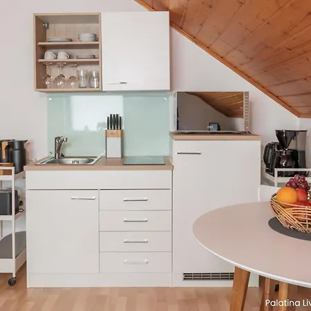 Apartman Palatina Living *