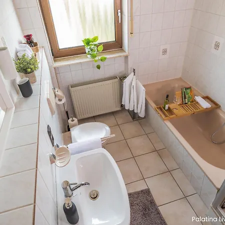 Palatina Living Apartman Fischbach