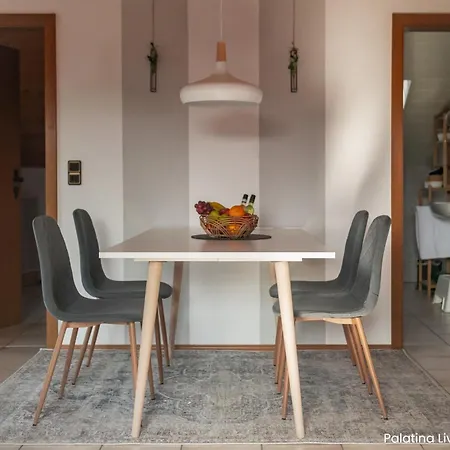Apartment Palatina Living Fischbach bei Dahn