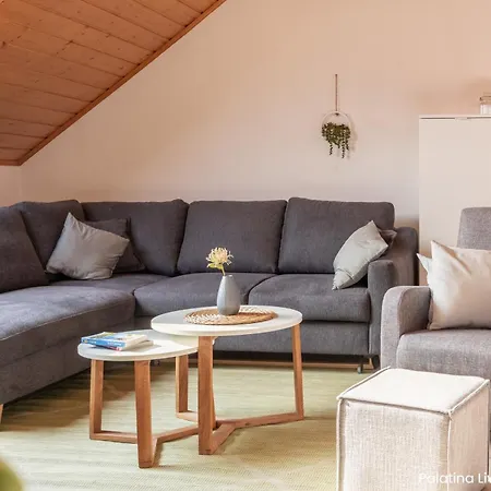 Apartment Palatina Living Fischbach bei Dahn