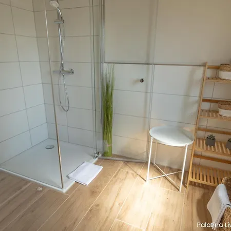 Palatina Living Apartman Fischbach