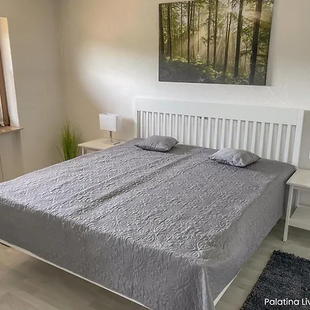 Palatina Living Apartment *